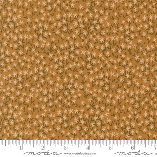 Autumn Forest Golden