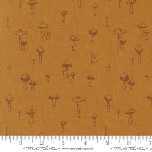 Autumn Forest Golden Mushroom