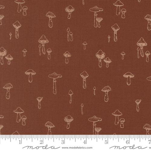 Autumn Forest Brown Mushroom