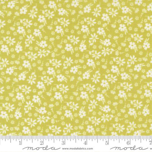 Chartreuse Blossoms