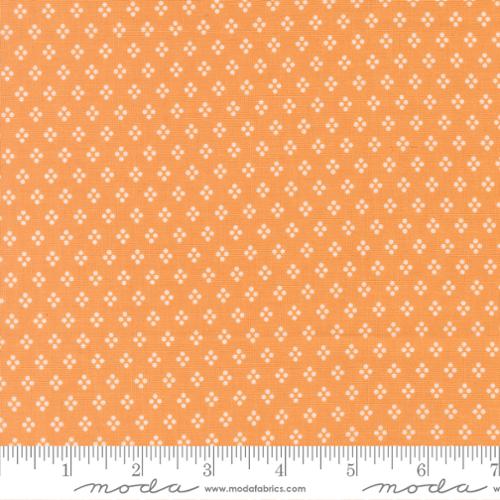 Apricot Dots