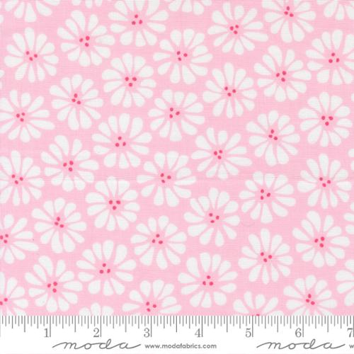 Lazy Daisy Petal