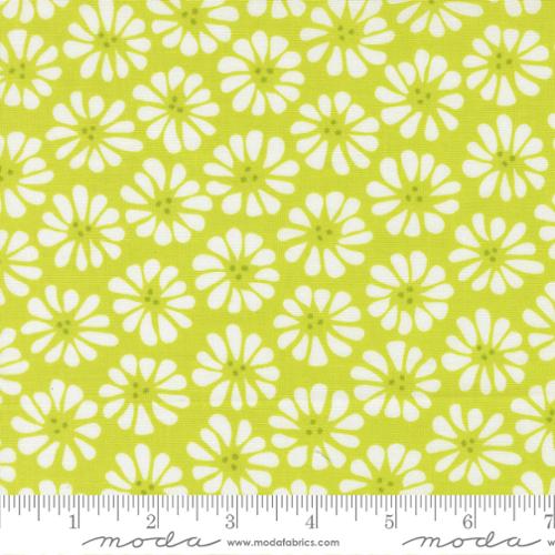 Lazy Daisy Lime