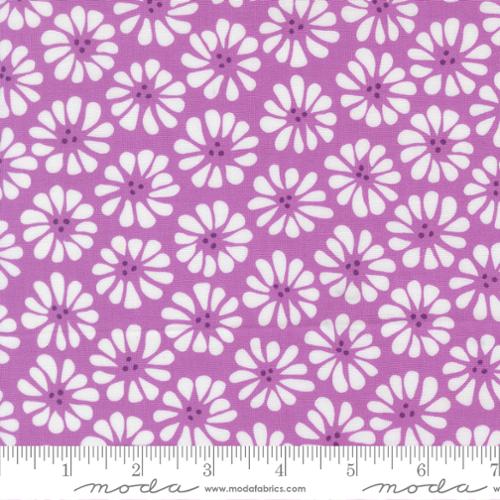 Lazy Daisy Lilac