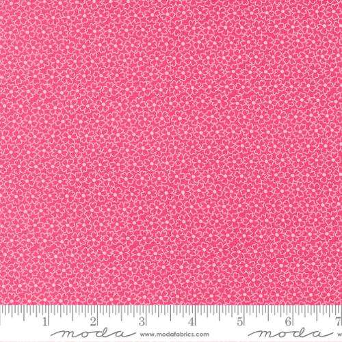 Pocket of Posies Petunia