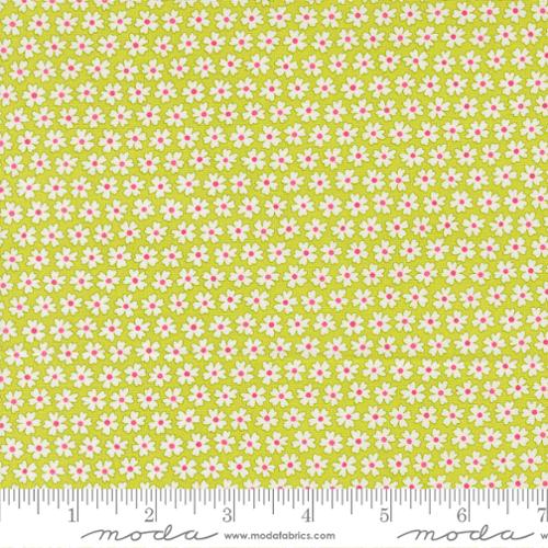 Pocket of Posies Lime