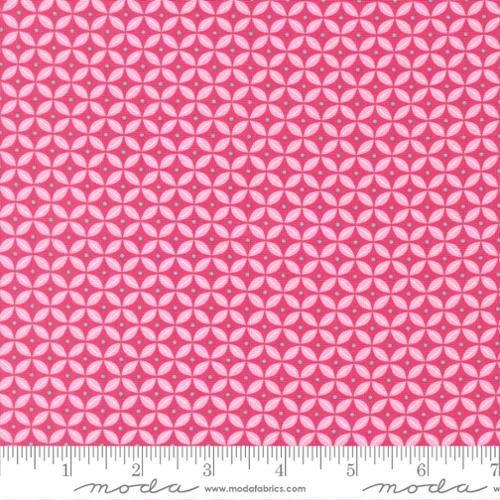 Citrus Peels Petunia