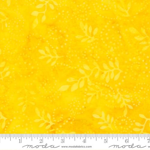 Sunlight Sunburst Batiks