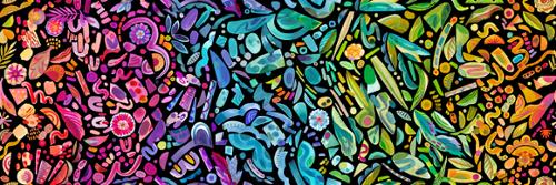 Radiant Colorful Dark Midnight