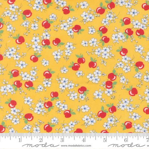 Sunshine Apple Blossom