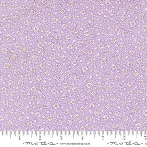 Lilac Dotty Daisy