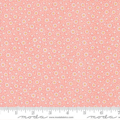 Petal Dotty Daisy