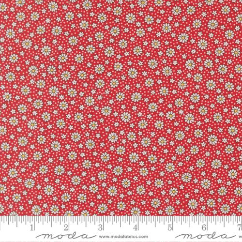 Scarlet Dotty Daisy