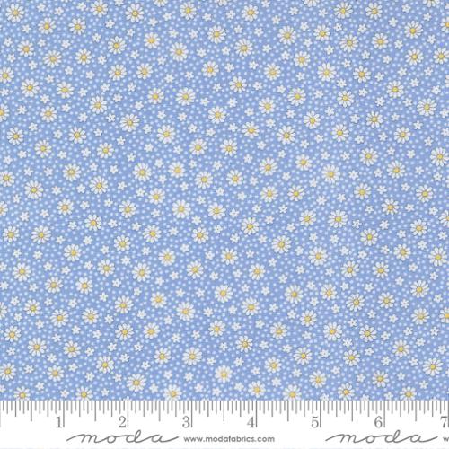 Sky Dotty Daisy