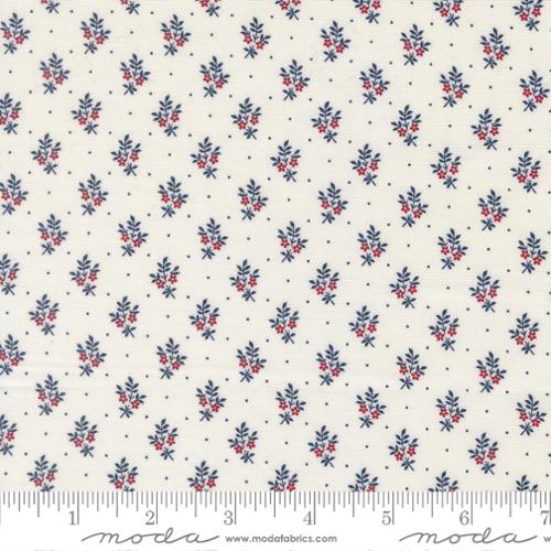 American Gatherings III Cloud Blue/Red Small Floral
