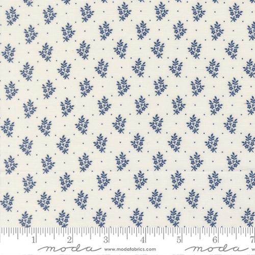 American Gatherings III Cloud Nautical Sprig Floral