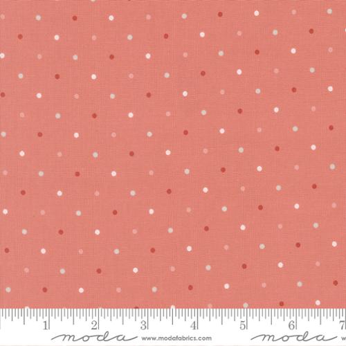 Rose Water Magic Dot