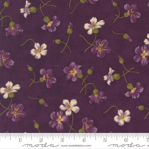 Collections Essence Purple Plum