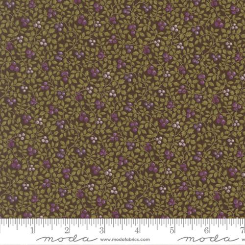 Collections Essence Little Vines Soil