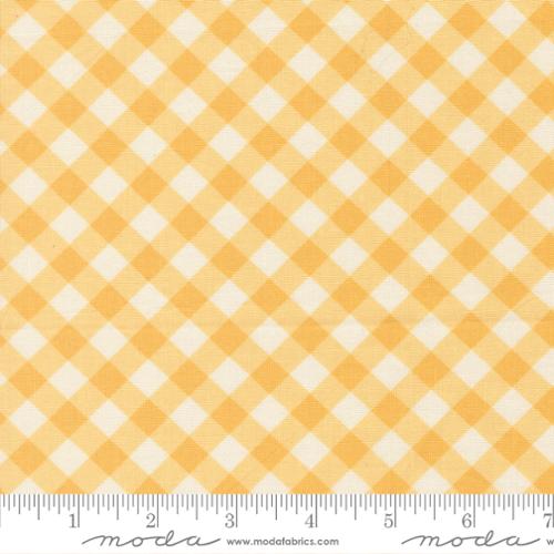 Pastel Prairie Sunshine Gingham