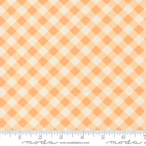 Pastel Prairie Apricot Gingham