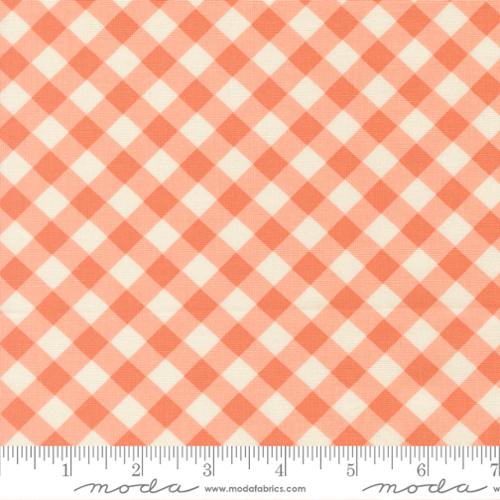Pastel Prairie Coral Gingham