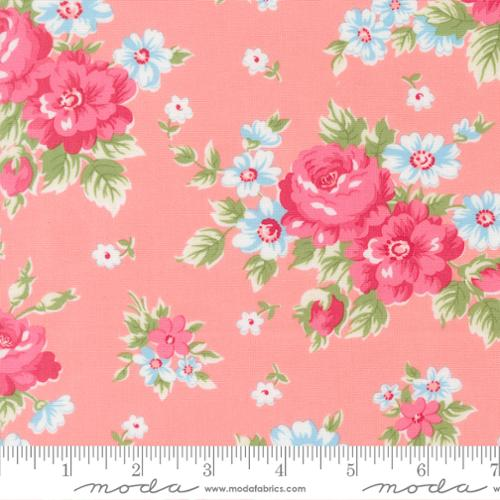 Cat Named Stitch Blush Blooming