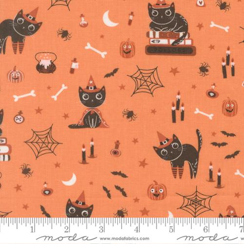 Purrs and Boos Pumpkin Cats