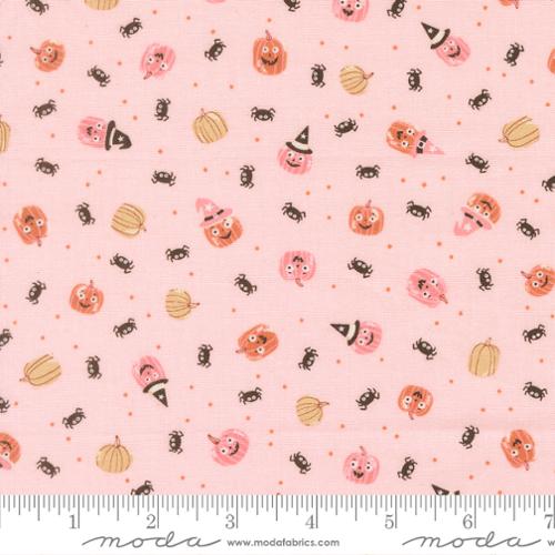 Purrs and Boos Purrfect Pink Friendly Pumpkin and Spiders