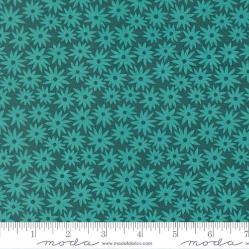 Scenery Sedum Dark Teal