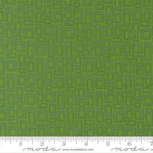 Scenery Marshmallow Evergreen