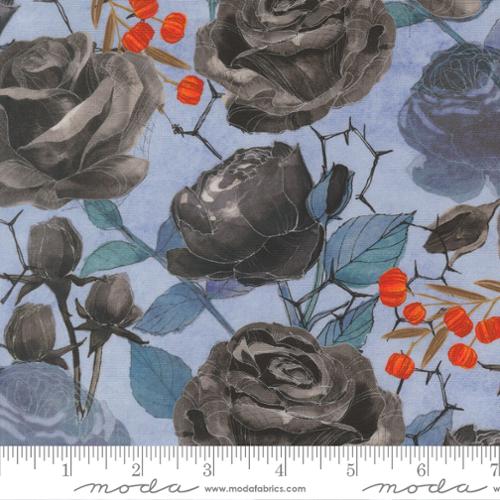 Coven Sky Coven Rose