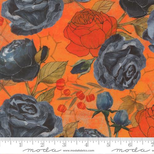 Coven Pumpkin Coven Rose