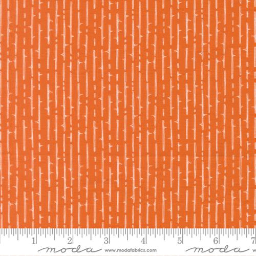 Coven Pumpkin Spice Thorny Stripes