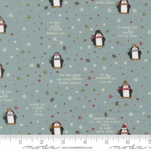 Chilly Mr Penguin Storm