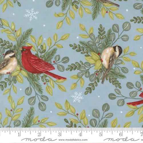 When Snow Falls Winter Sky Winter Birds