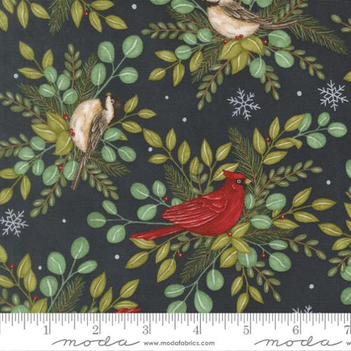 When Snow Falls Night Sky Winter Birds
