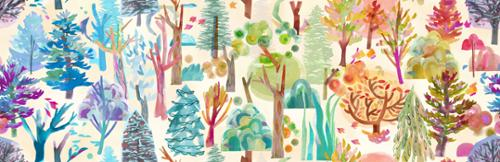 Northern Brights Cloud Forest Seasons Ombre
