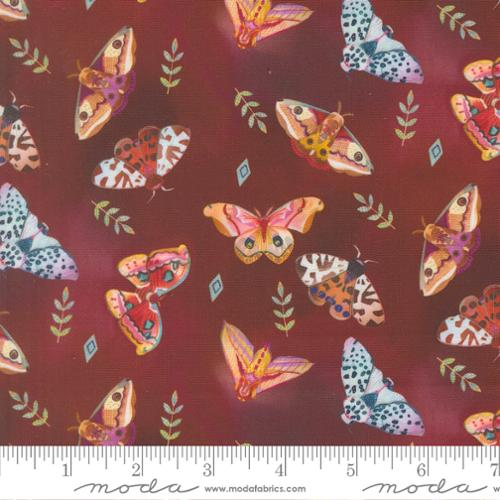 Northern Brights Woodsy Moth Array