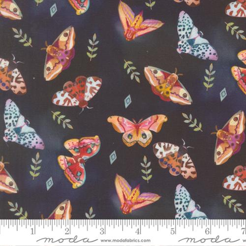 Northern Brights Night Sky Moth Array