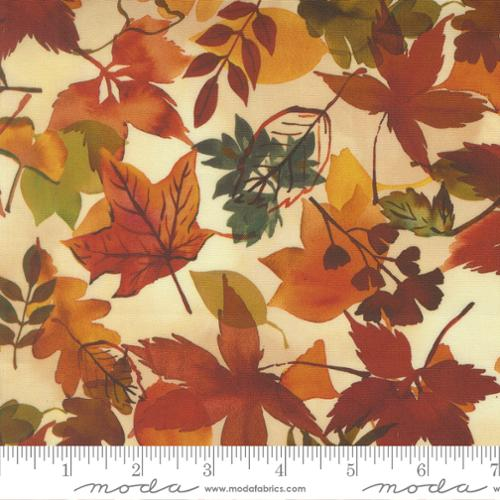 Northern Brights Autumn Fall Leaves