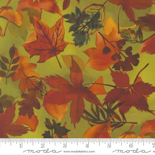 Northern Brights Leaf Fall Leaves