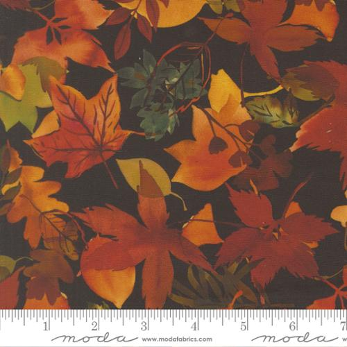 Northern Brights Night Sky Fall Leaves