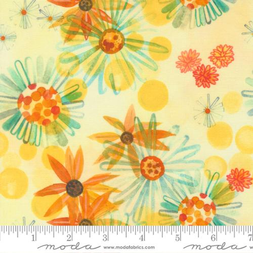 Northern Brights Sunshine Yellow Black Eyed