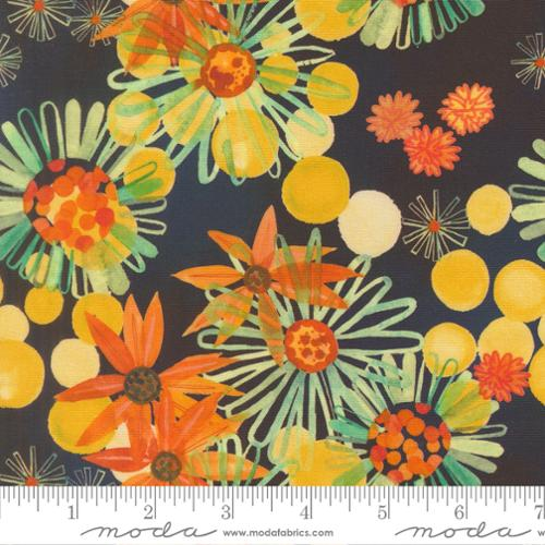 Northern Brights Night Sky Yellow Black Eyed