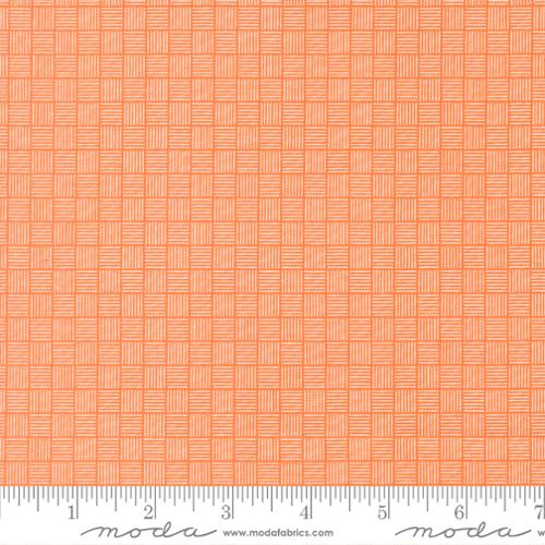 Birch and Willow Pumpkin Crosshatch