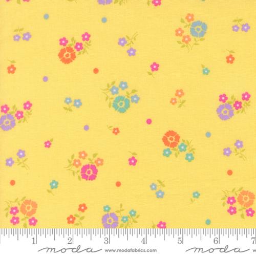 Joysome Hand Picked Sunshine