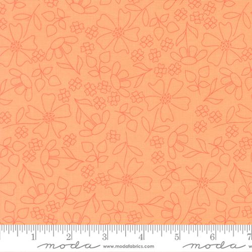Joysome Sunshine Sketch Cantaloupe