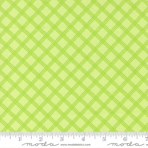 Joysome Charming Check Honeydew