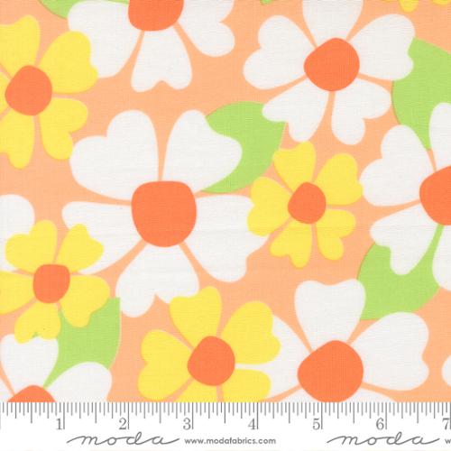 Joysome Cantaloupe